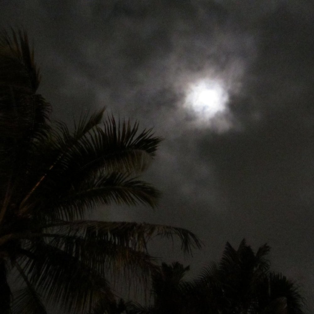 Meet your Posher, S.